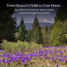 Load image into Gallery viewer, Anaghaya Saffron | Premium Grade A+ Ayurvedic Saffron for Radiant Skin