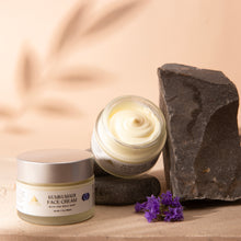 Load image into Gallery viewer, KUMKUMADI FACE CREAM WITH 24K GOLD