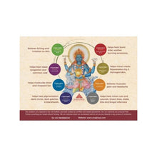 Load image into Gallery viewer, 8 Balm Kit